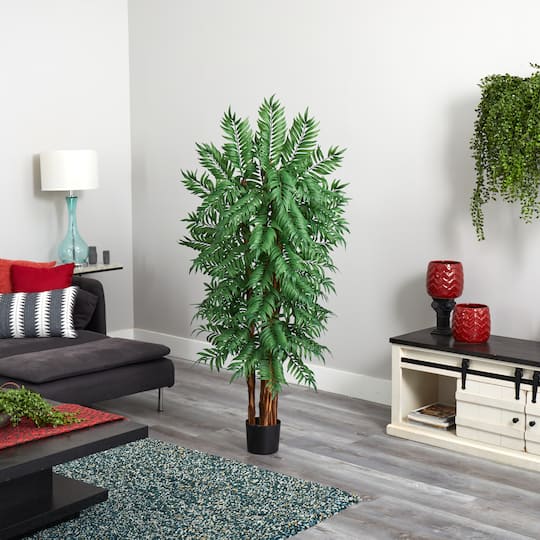 5.5ft. Potted Parlour Palm Tree